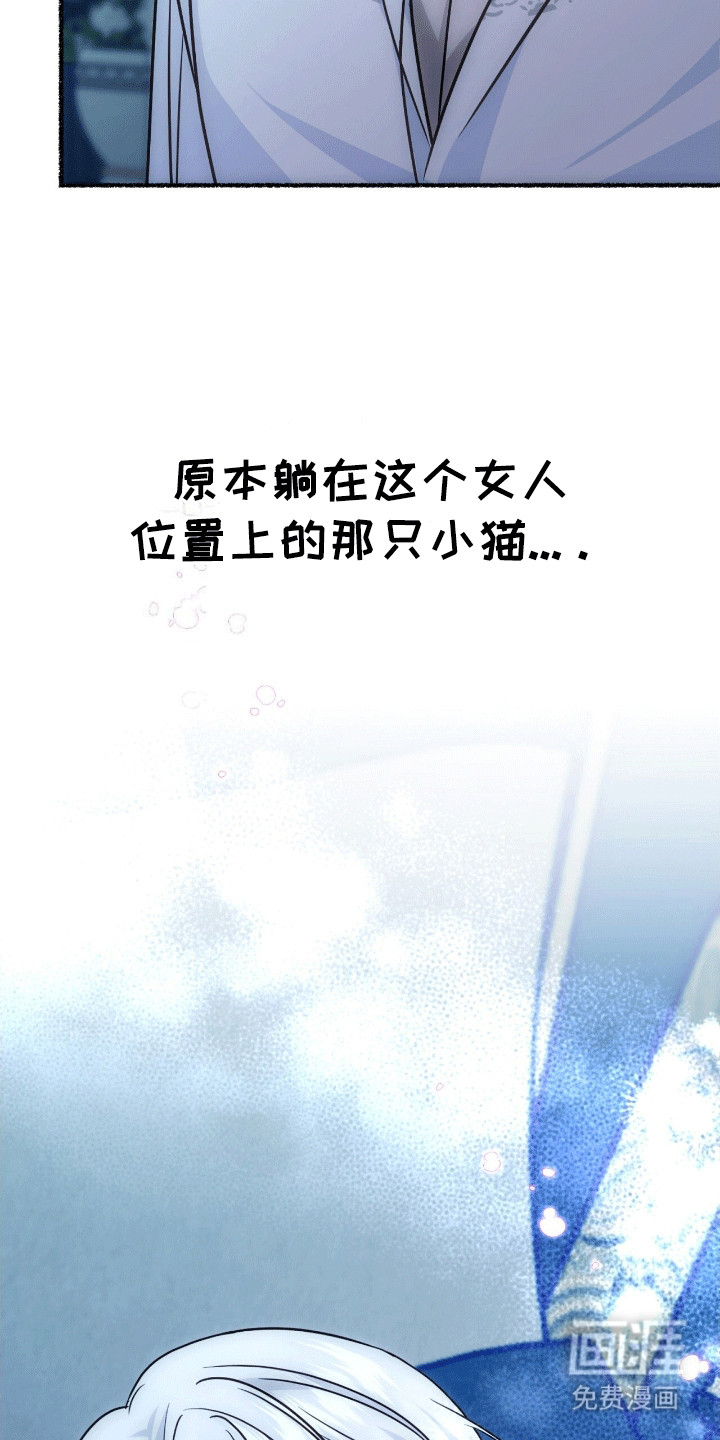 第9话：第9章：变回小猫预览分镜