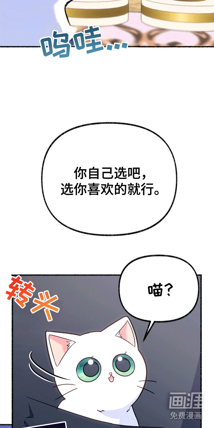 第13话：第13章：礼物预览分镜