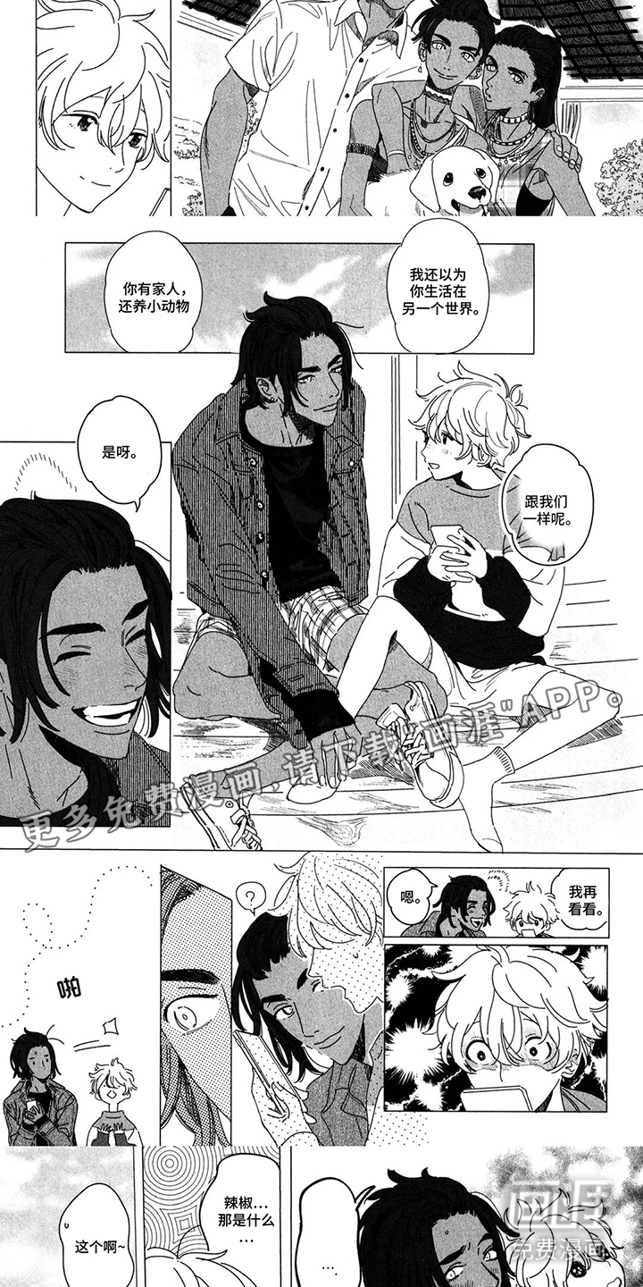 第5话：第5章：好奇预览分镜