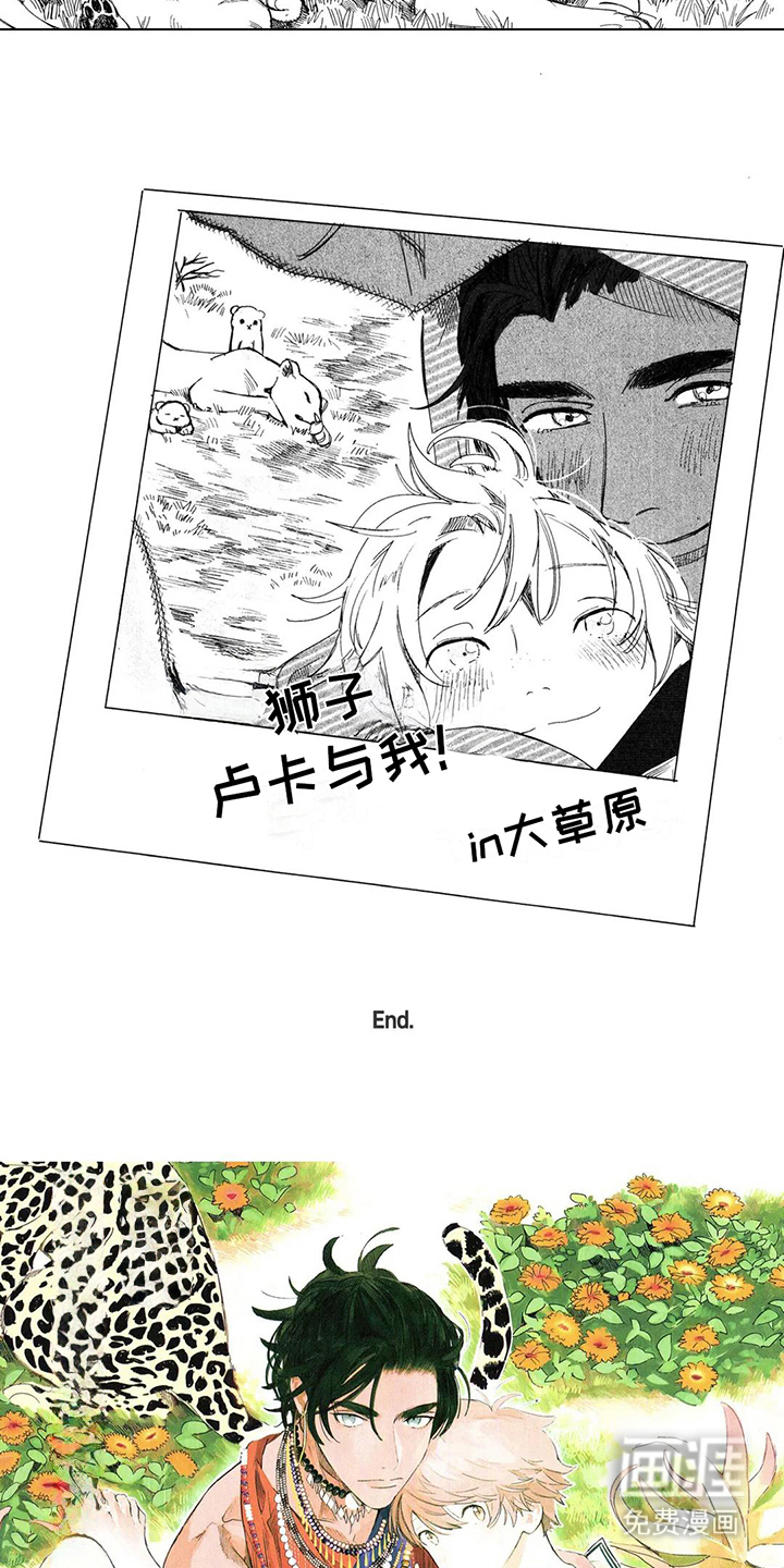 第15话：第15章：大草原预览分镜