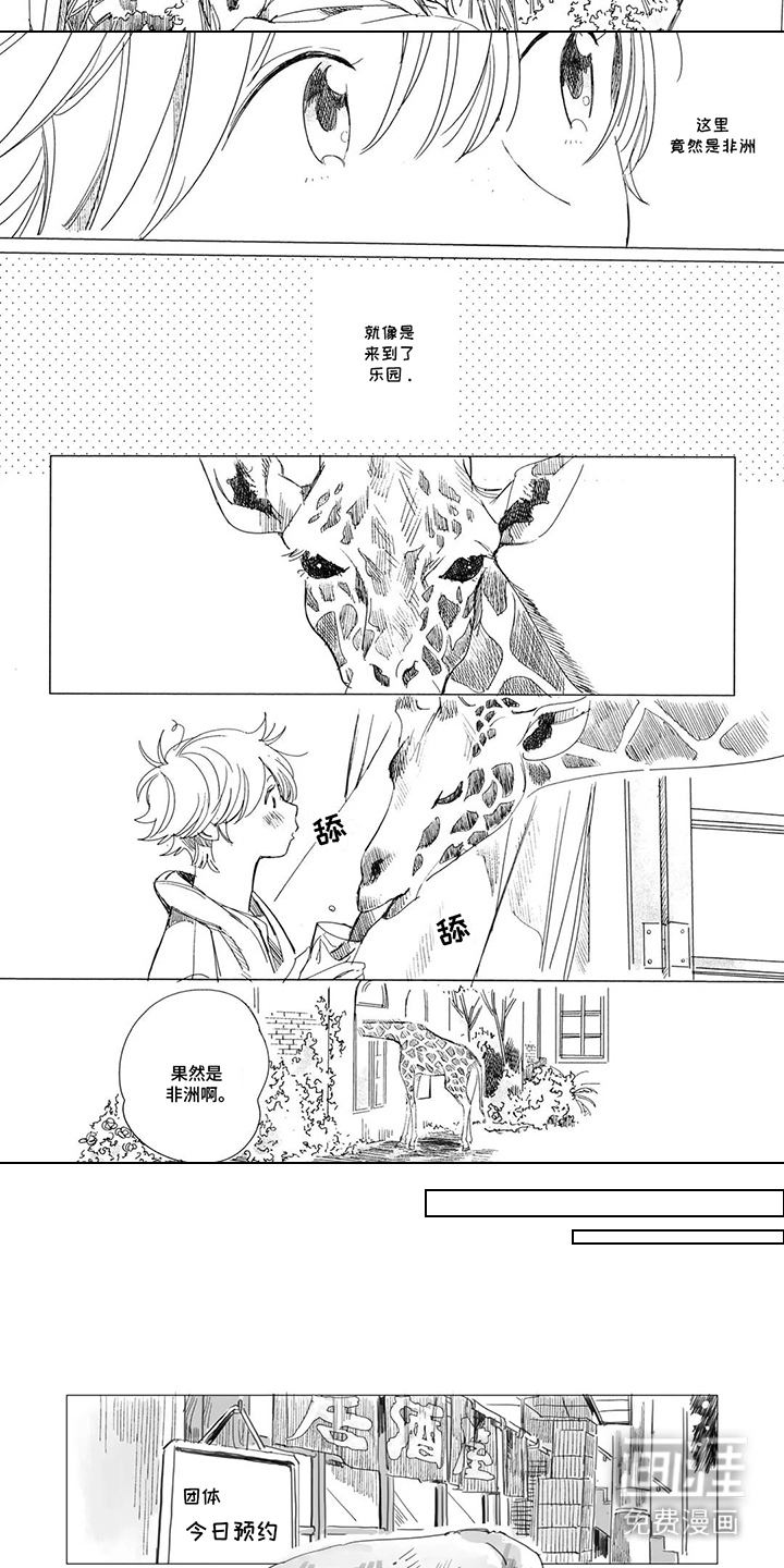 第16话：第16章：玫瑰花预览分镜