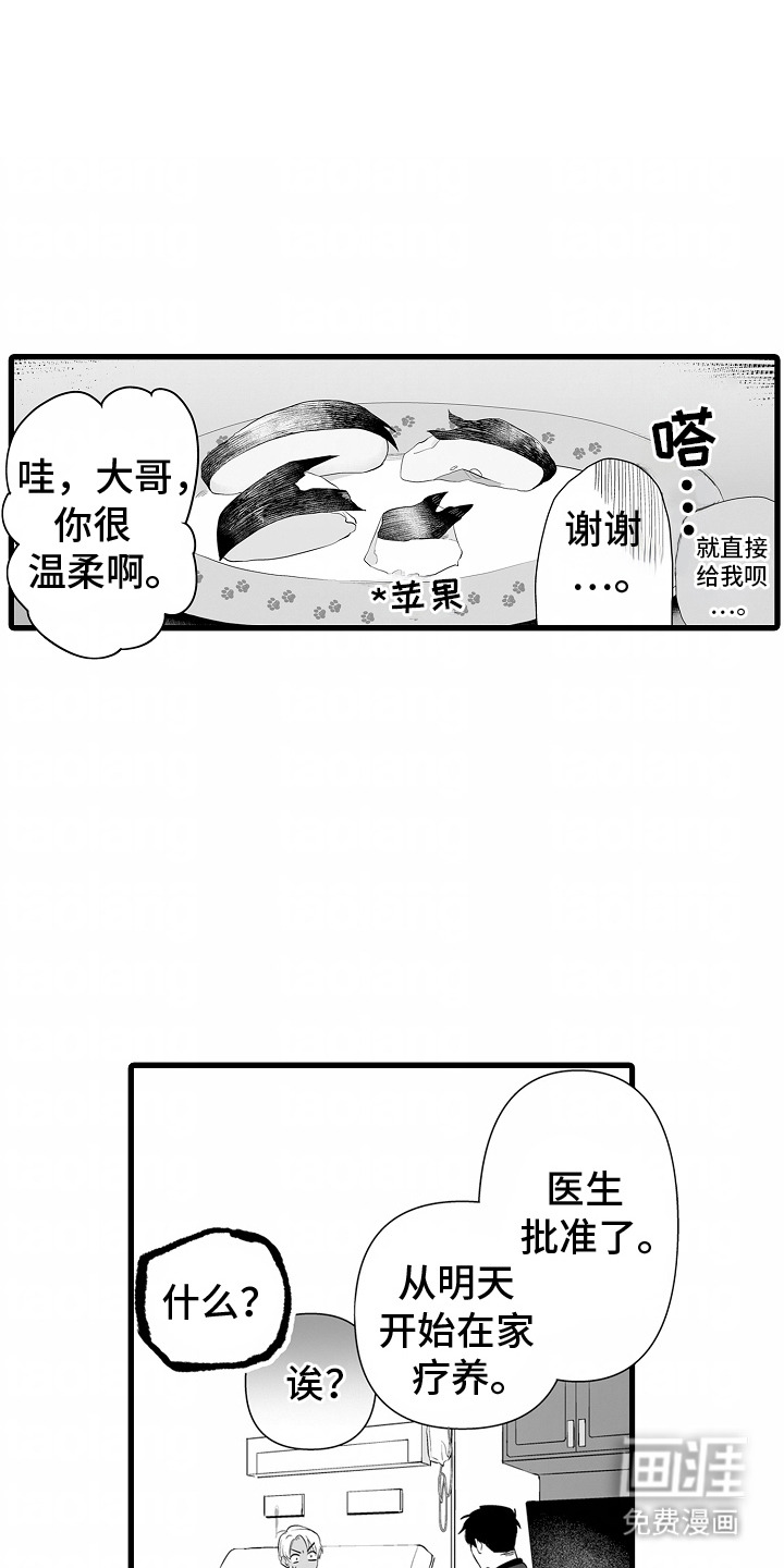 第4话：第4章：照顾预览分镜