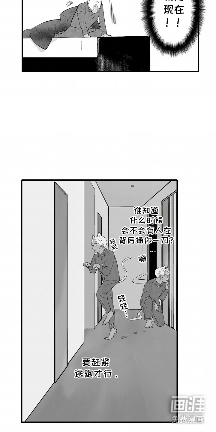 第5话：第5章：失礼了预览分镜