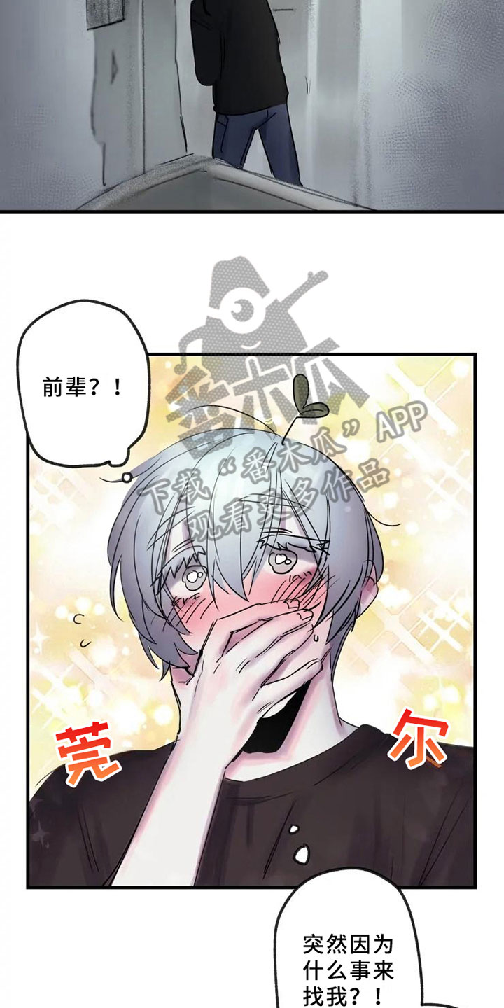 第12话：第12章：一决胜负预览分镜