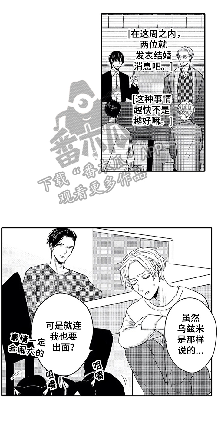 第31章:告知【完结】