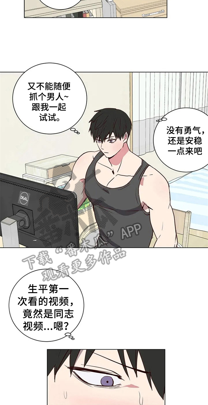 第4话：第4章：建议预览分镜