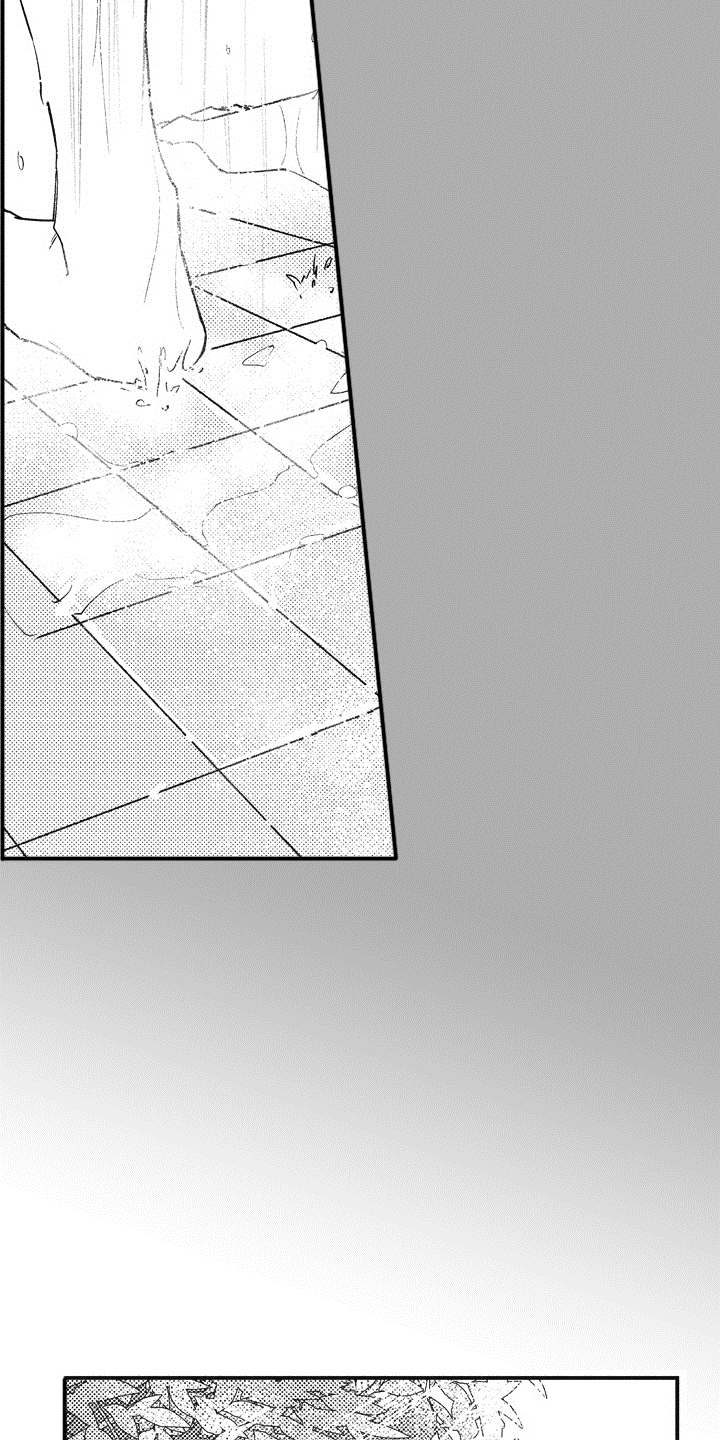 第14话：第14章：不见了预览分镜