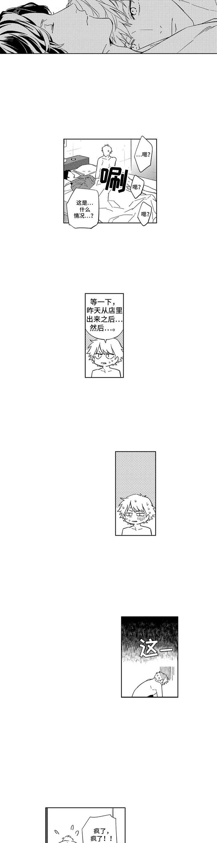 第6话：第6章：匹配结果预览分镜