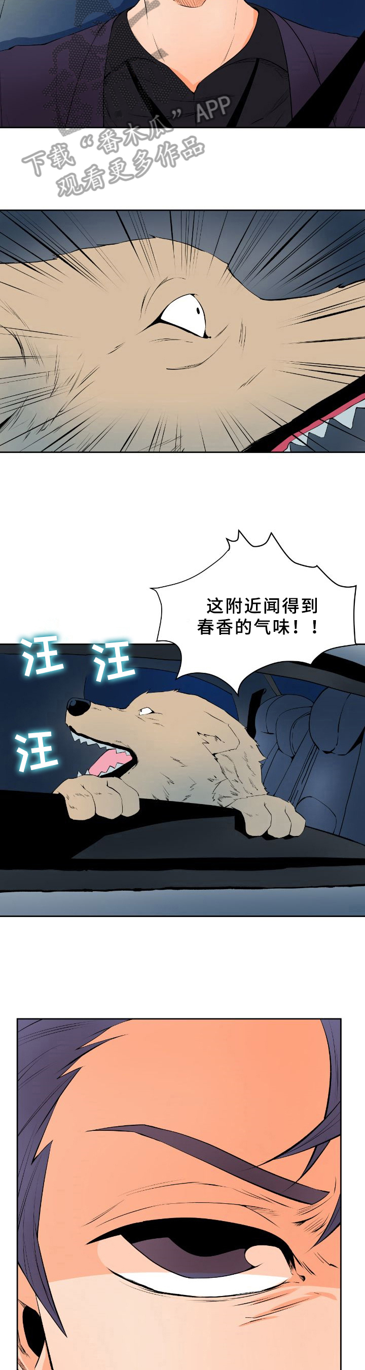 第17话：第17章：寻踪预览分镜