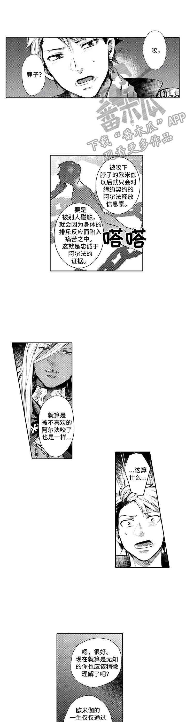 第15话：第15章：前因后果预览分镜