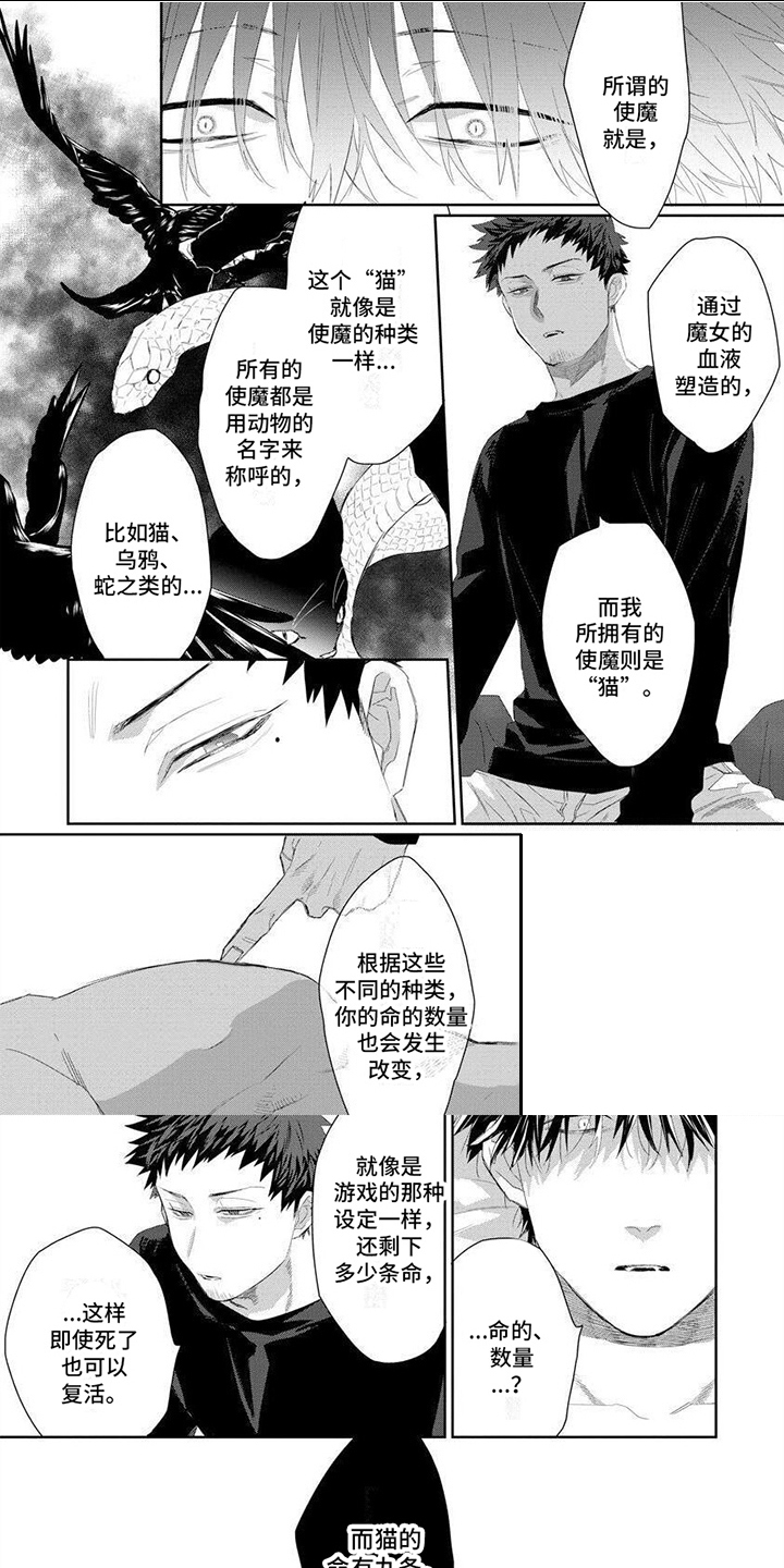 第5话：使魔预览分镜