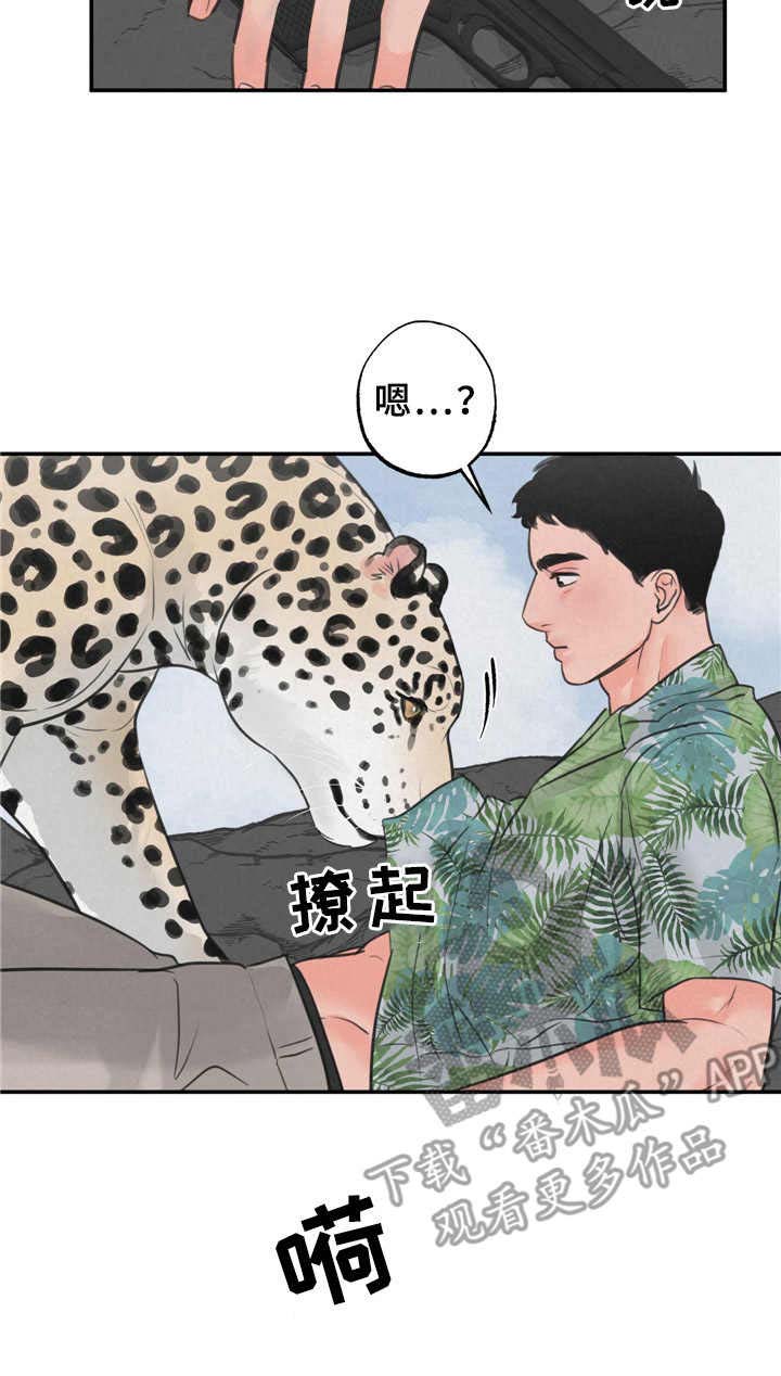 第9话：第9章：磨蹭预览分镜