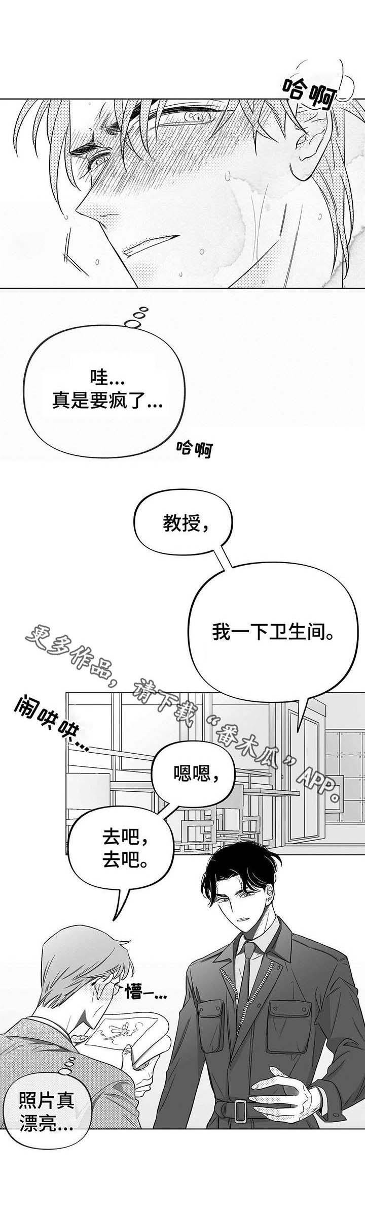第8话：第8章：要疯了预览分镜