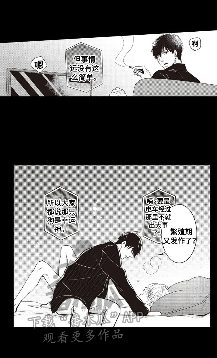 第4话：第4章：安排预览分镜