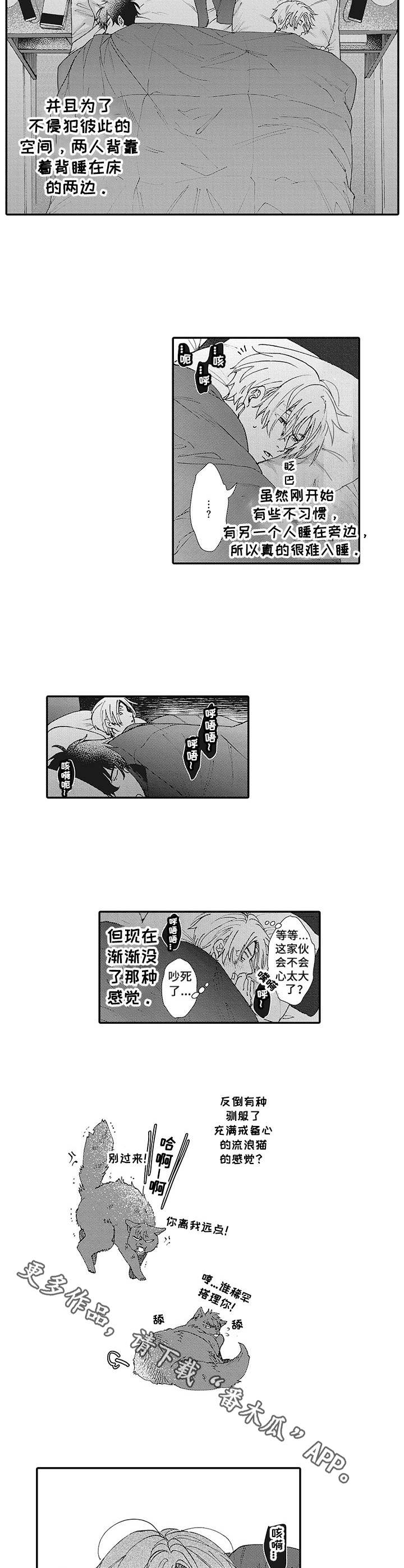 第8话：第8章：催促预览分镜