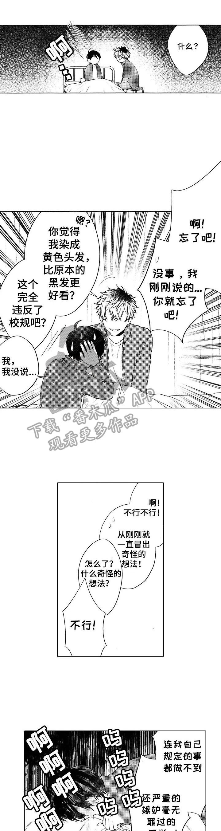 第11话：第11章：喜欢预览分镜