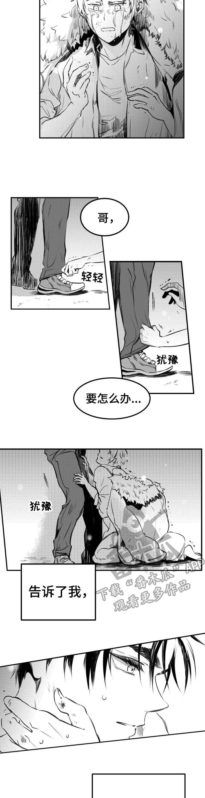 第53章:回应(完结)