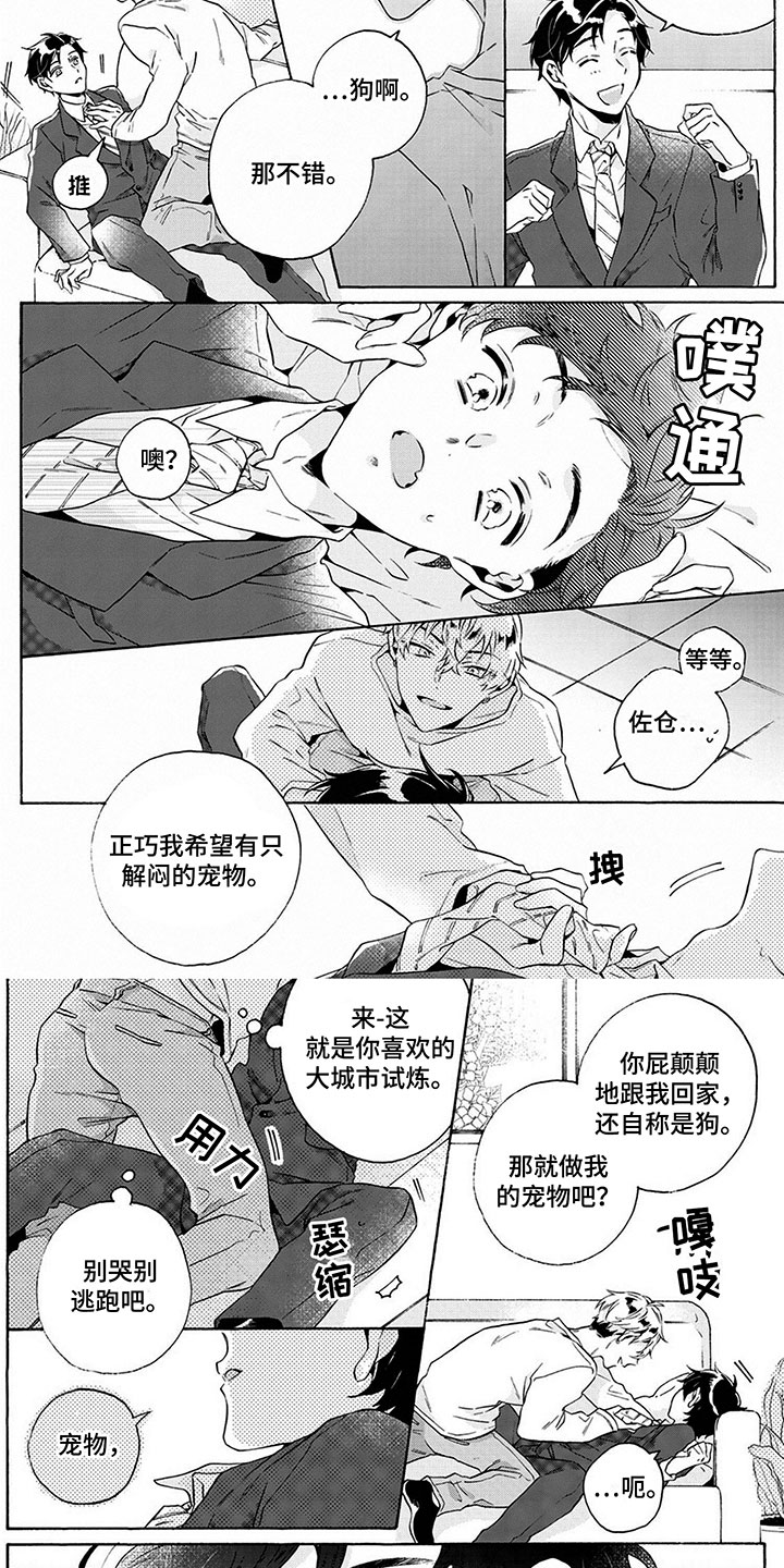 第2话：奇怪的同居预览分镜
