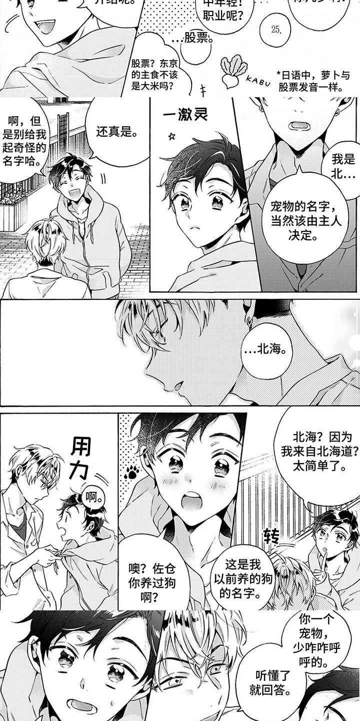 第3话：土狗预览分镜