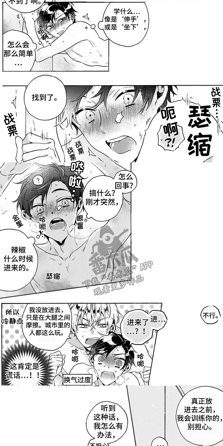 第5话：训练预览分镜