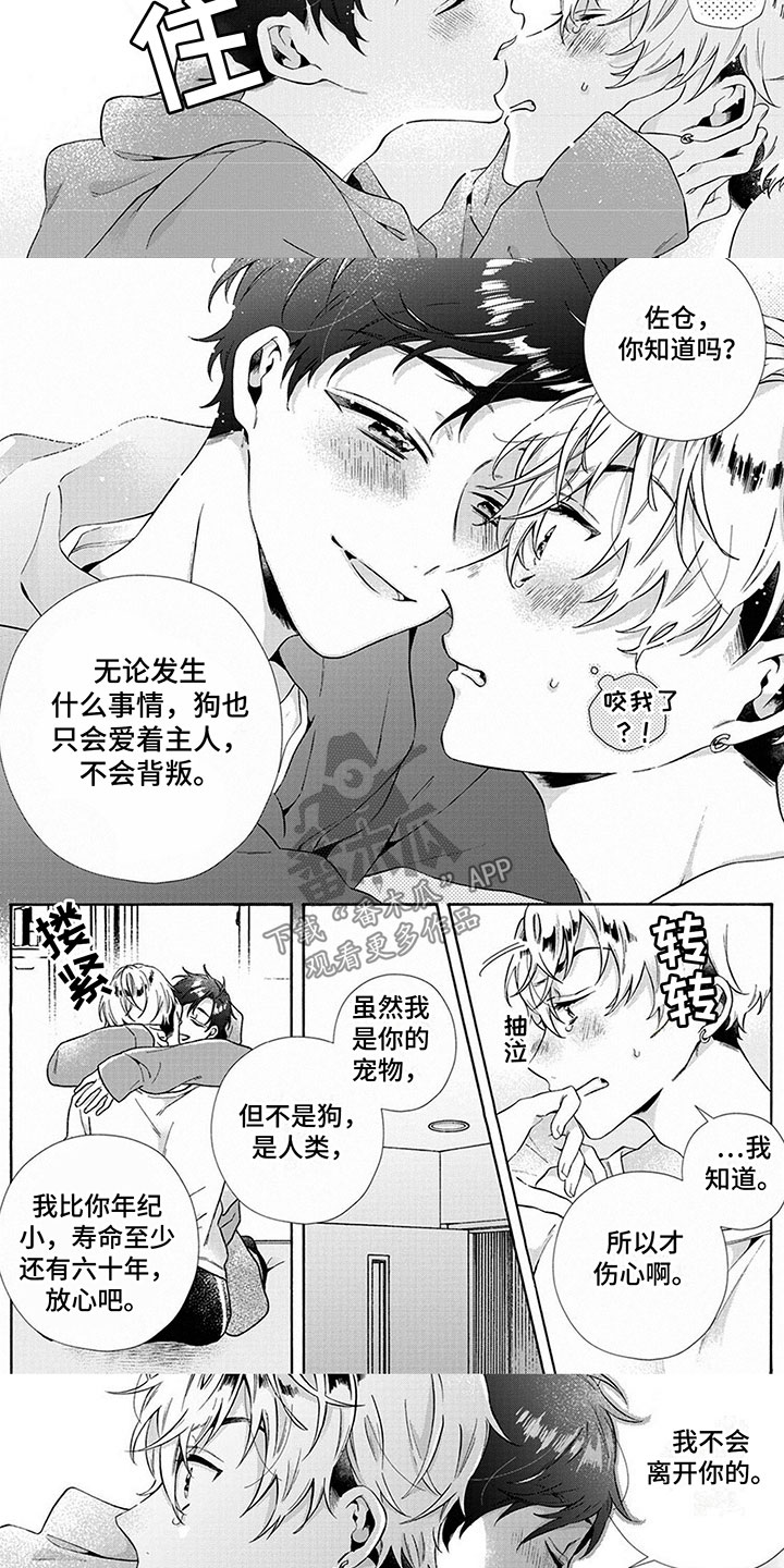 第9话：消失预览分镜