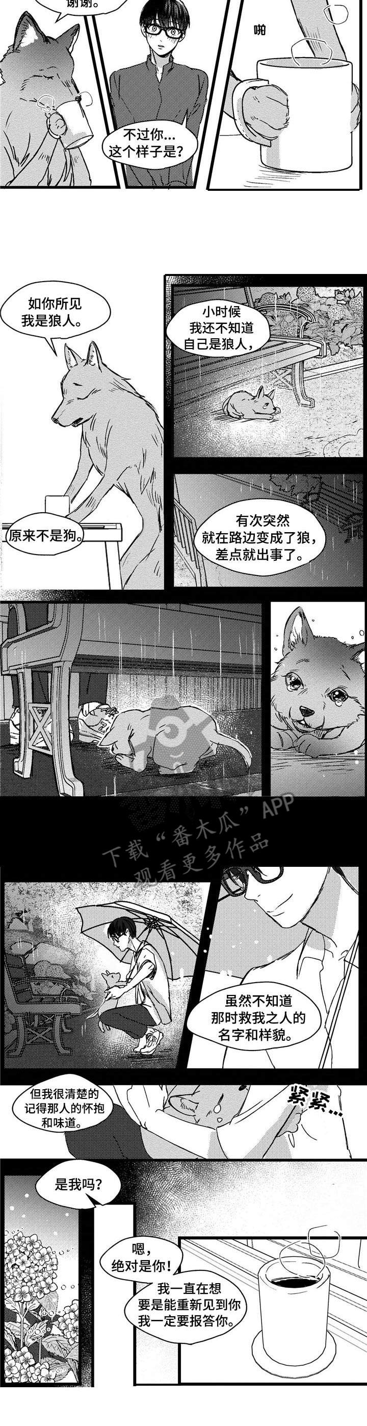 第4话：第4章：狼人预览分镜