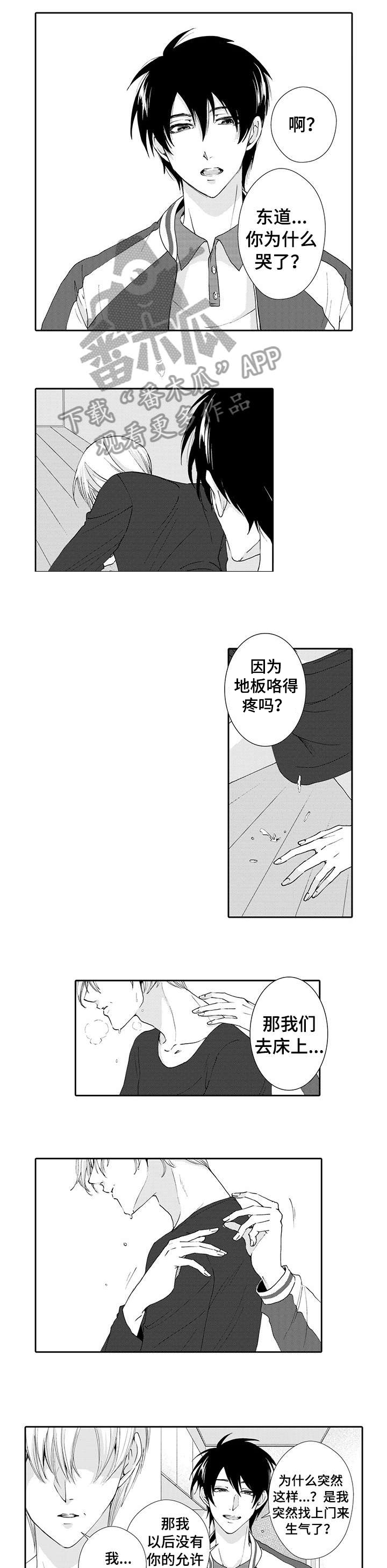 第11话：第11章：结束预览分镜