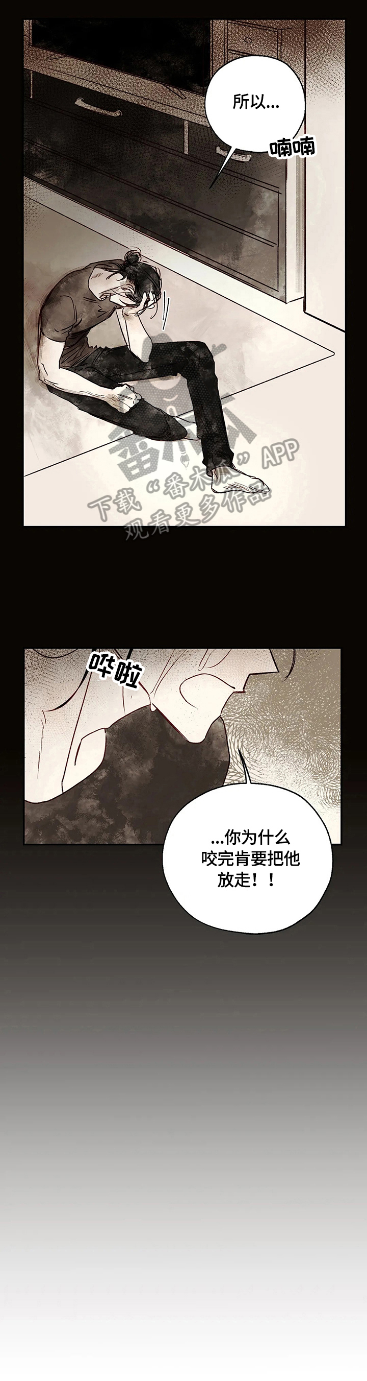 第14话：第14章：强大的梦预览分镜