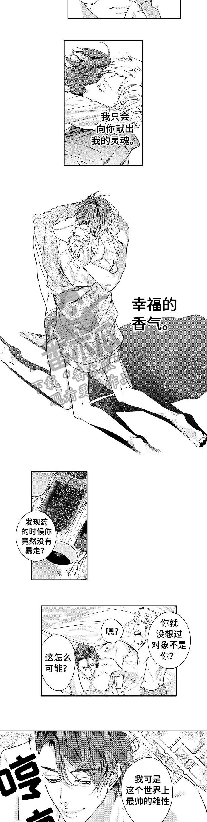 第17话：第17章：美妙预览分镜