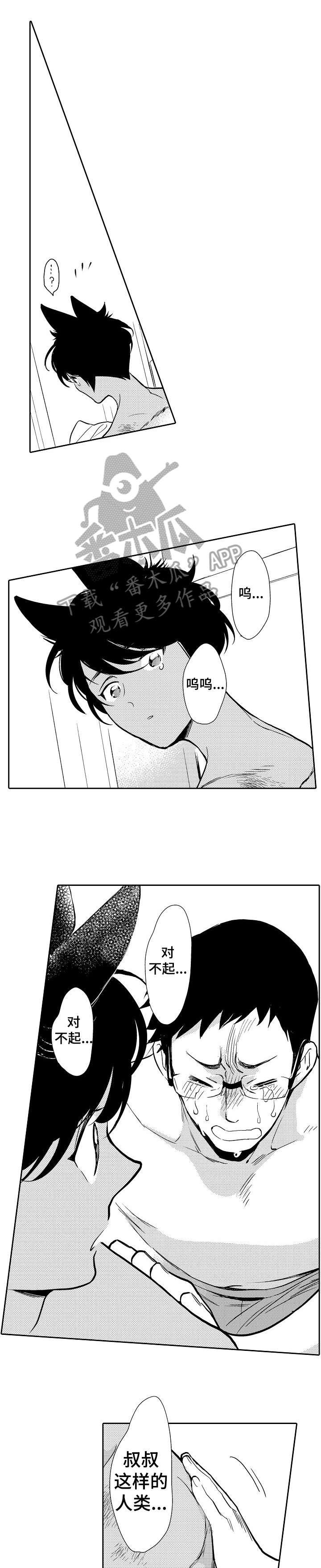 第3话：第3章：心疼预览分镜