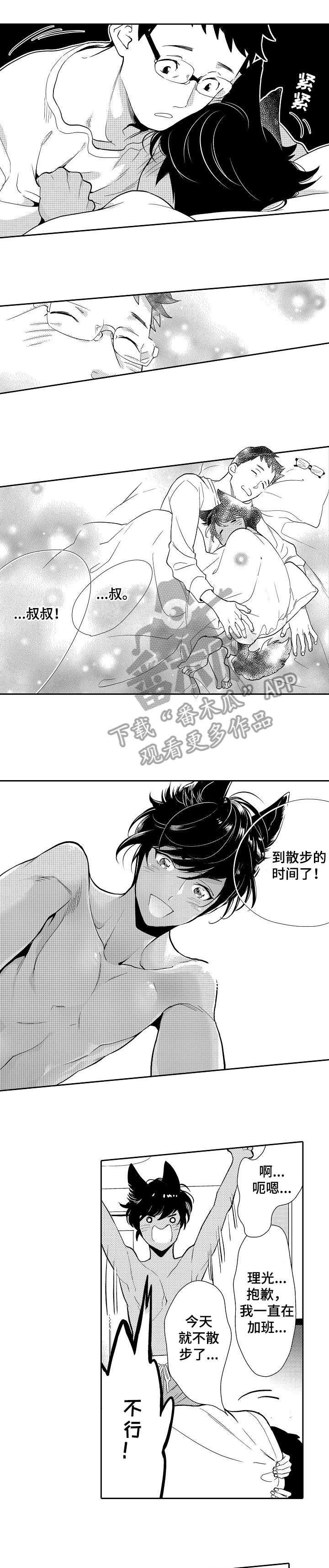 第4话：第4章：光明预览分镜