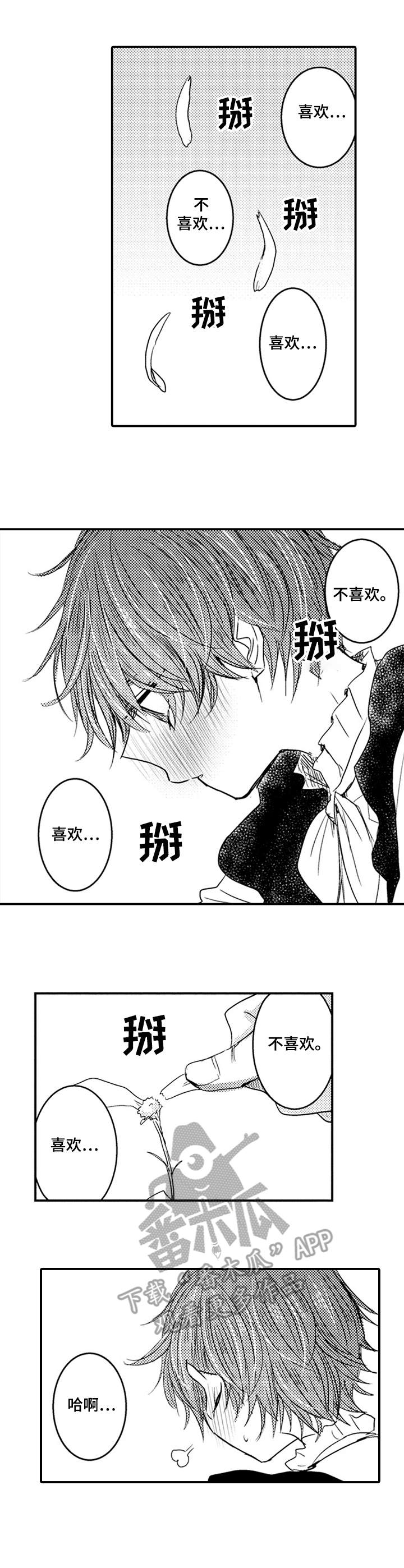 第11话：第11章：喜欢预览分镜