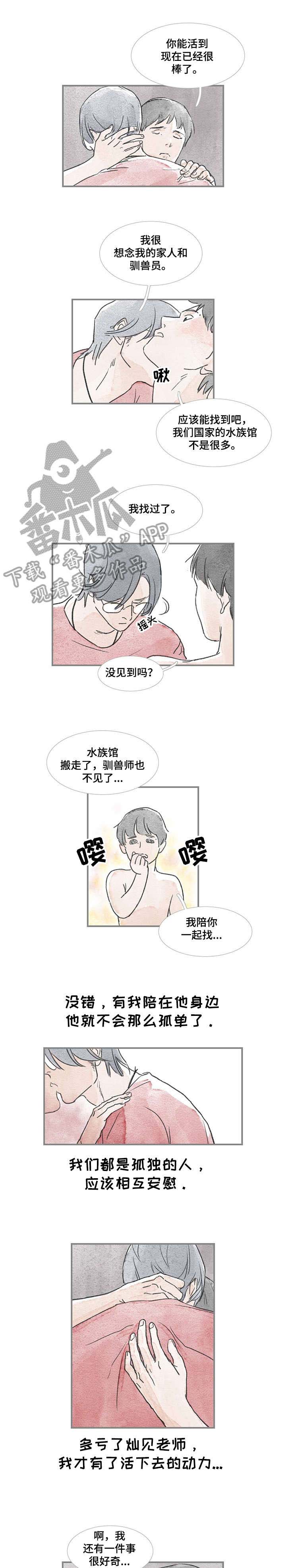 第17话：第17章：刚才预览分镜