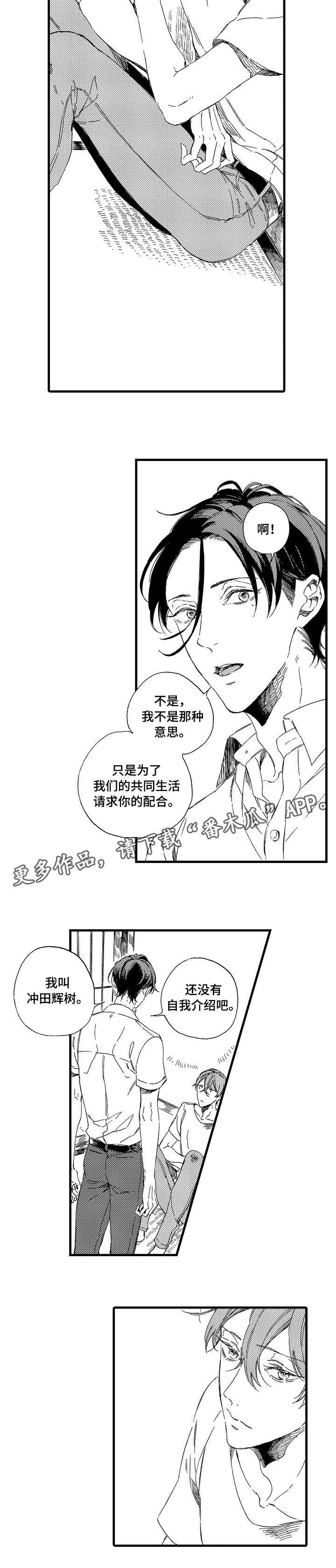 第5话：第5章：证据预览分镜