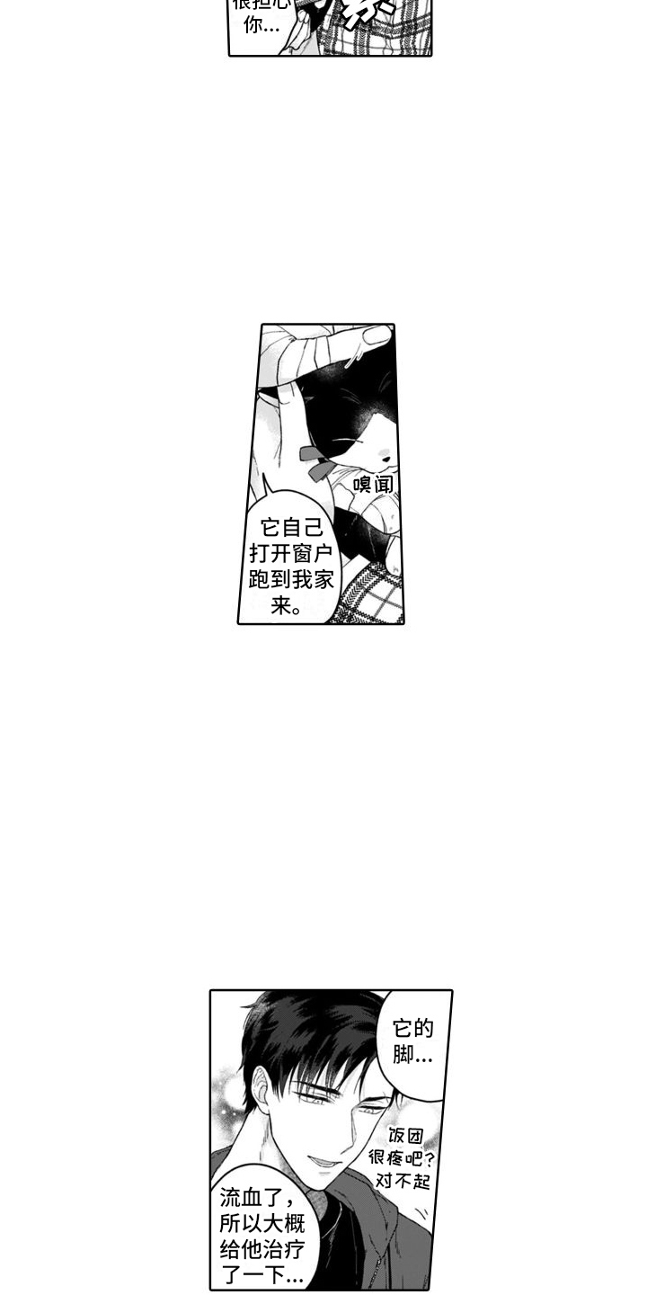 第13话：没法讨厌预览分镜