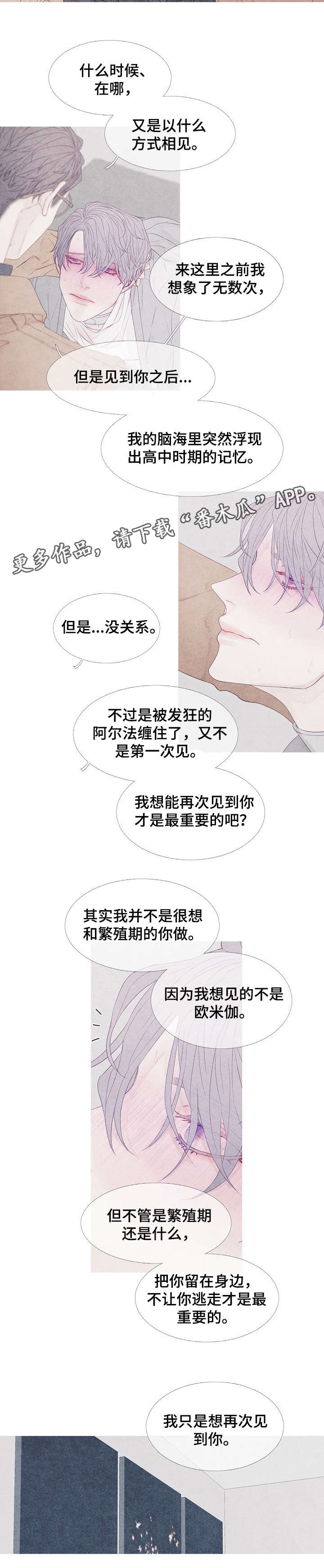 第12话：第12章：期待预览分镜