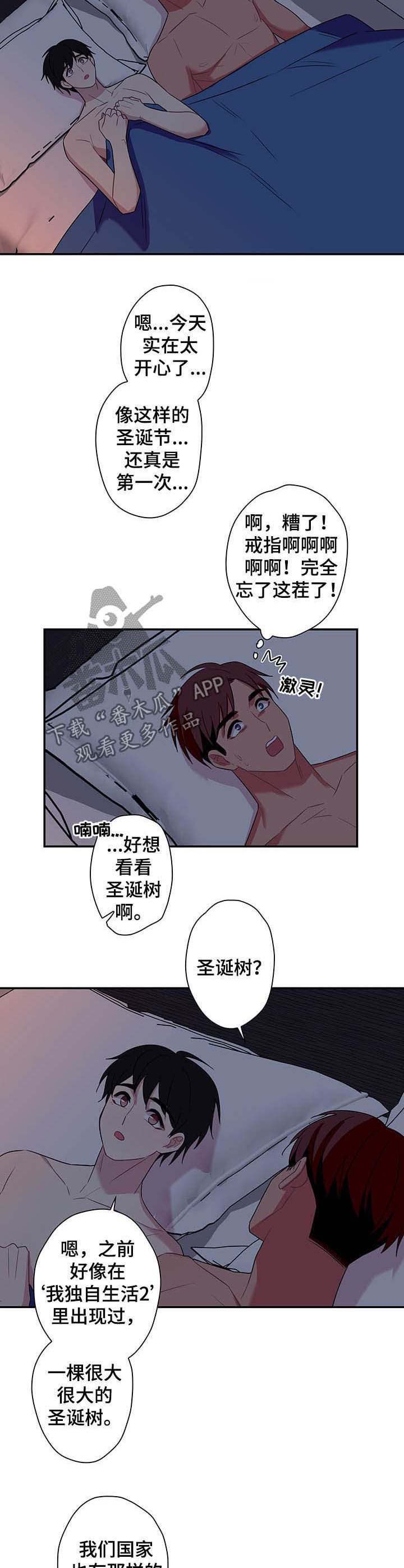 第73章:【番外完结】下雪了