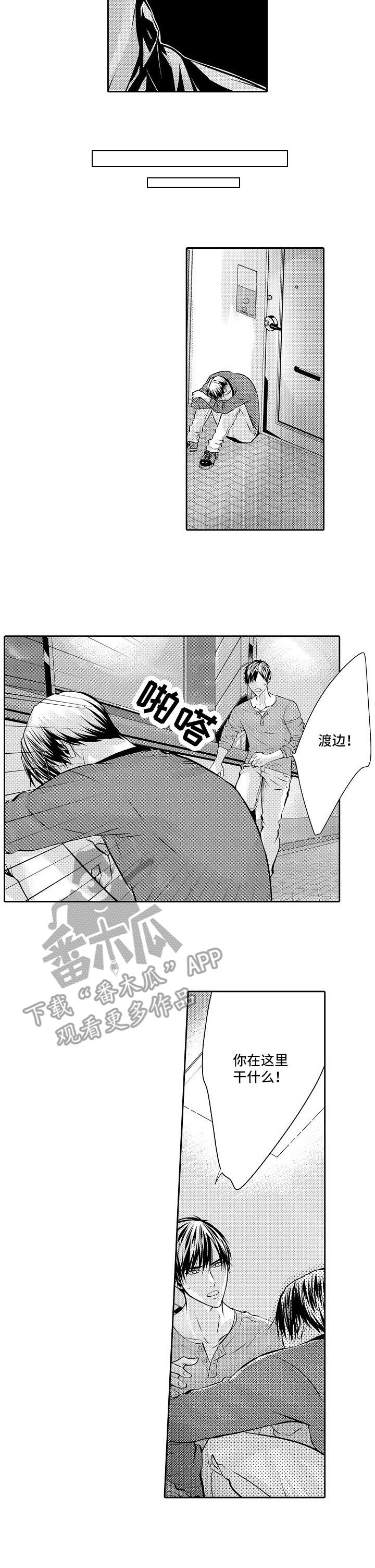 第6话：第6章：药物预览分镜