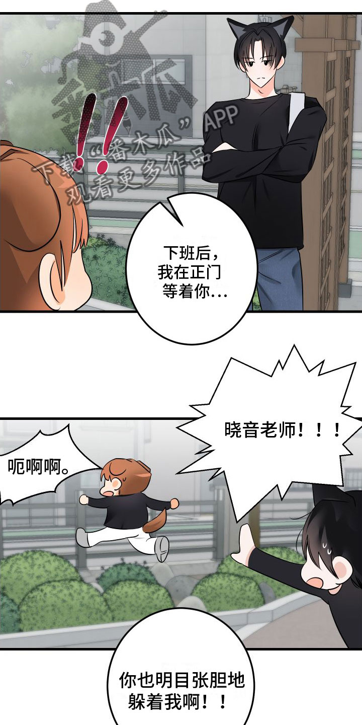 第5话：给我看看预览分镜