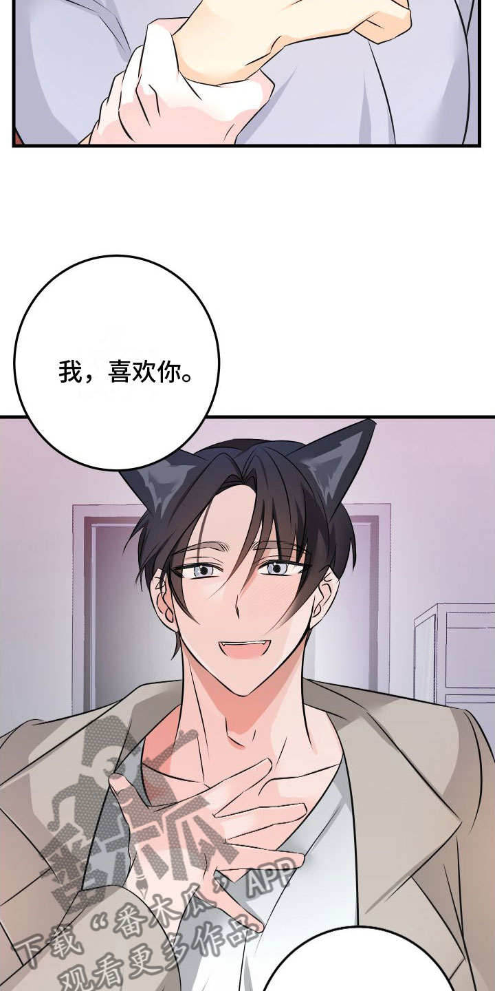 第9话：喜欢你预览分镜