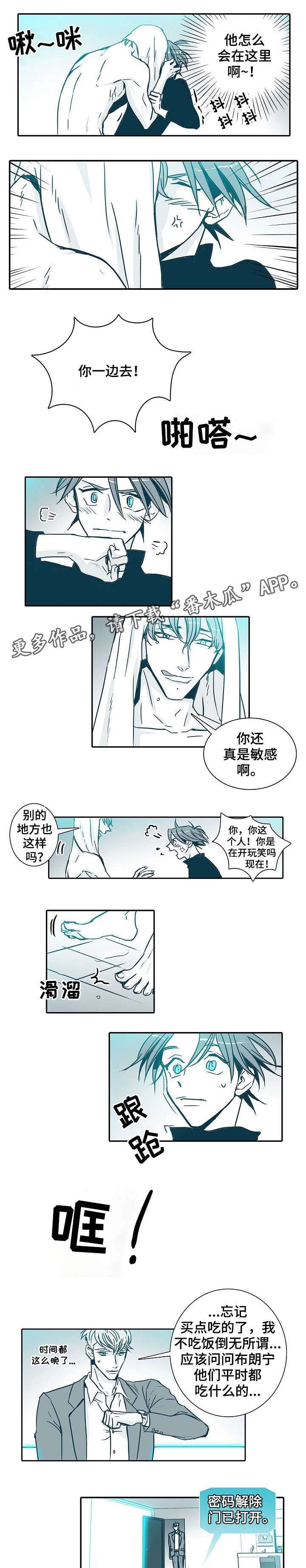 第12话：第12章：晕倒预览分镜