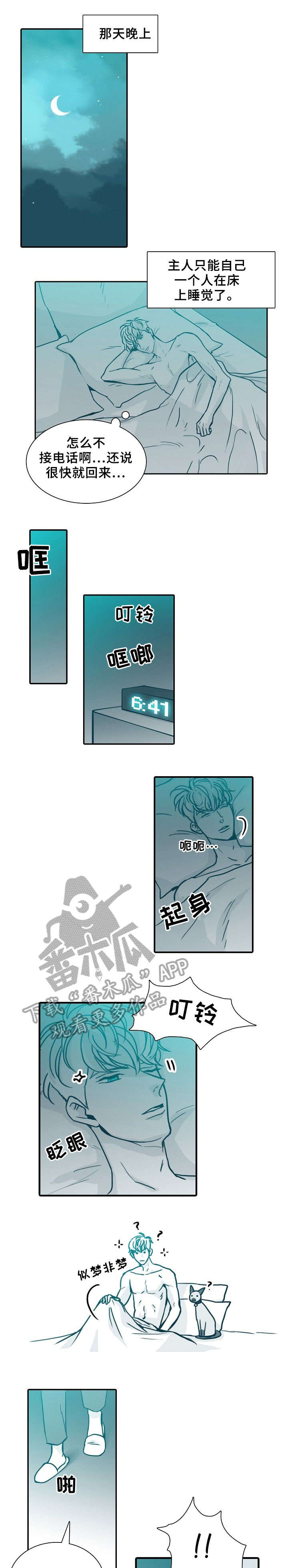 第64章:喵(完结)