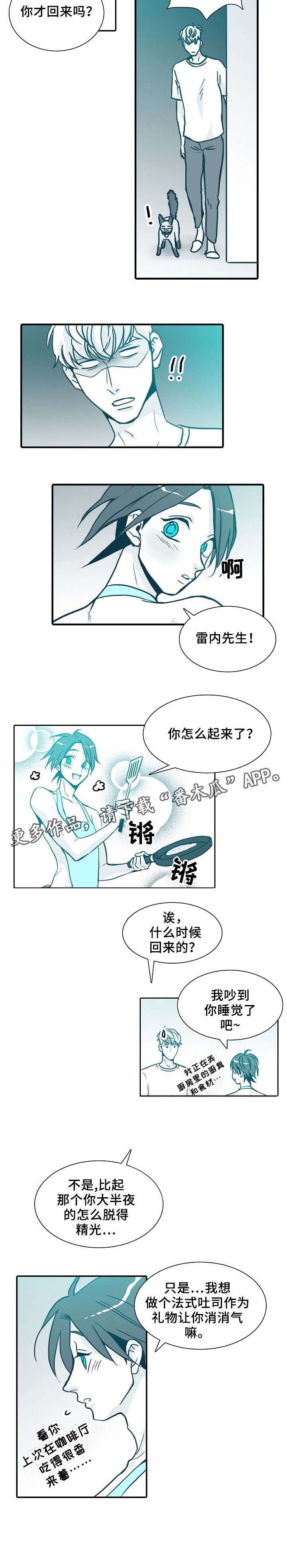 第64章:喵(完结)