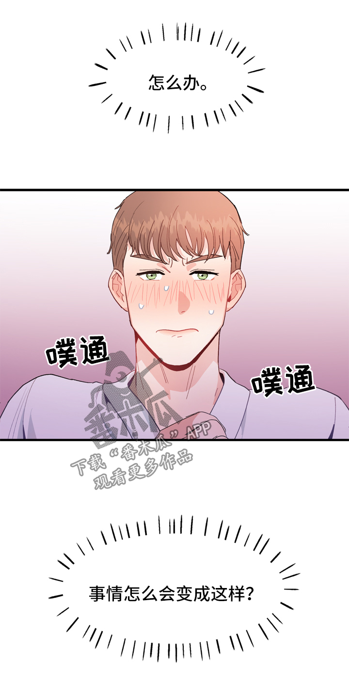 第12话：第12章：有猫腻预览分镜