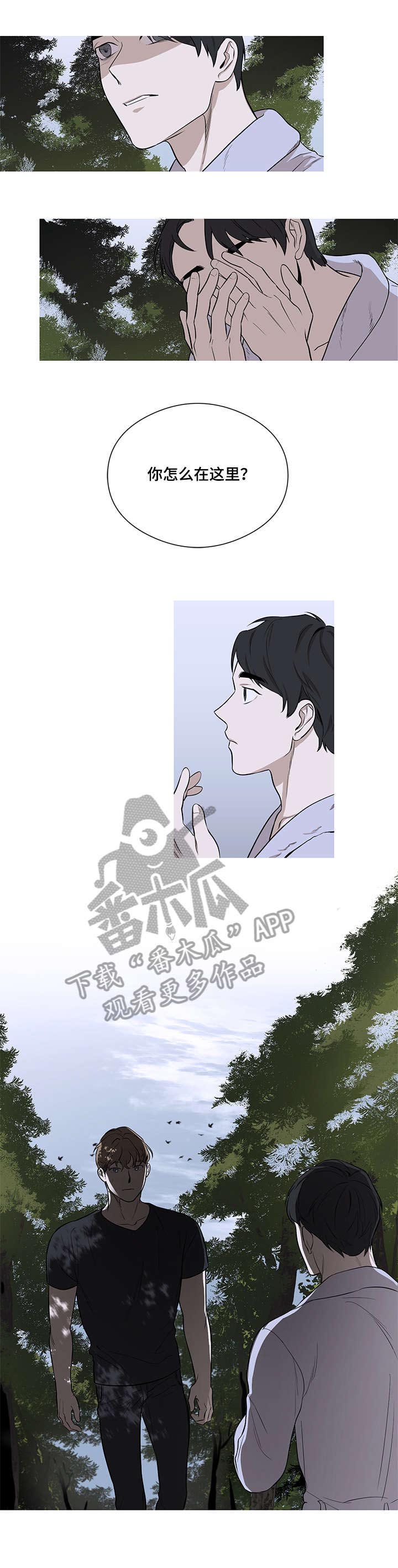 第12章:想家(完结)