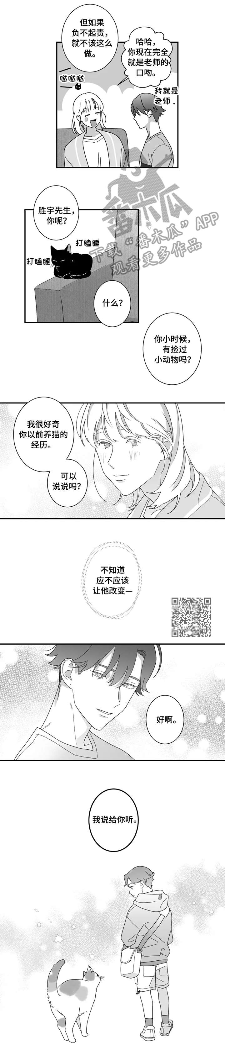 第16话：第16章：猫咪预览分镜