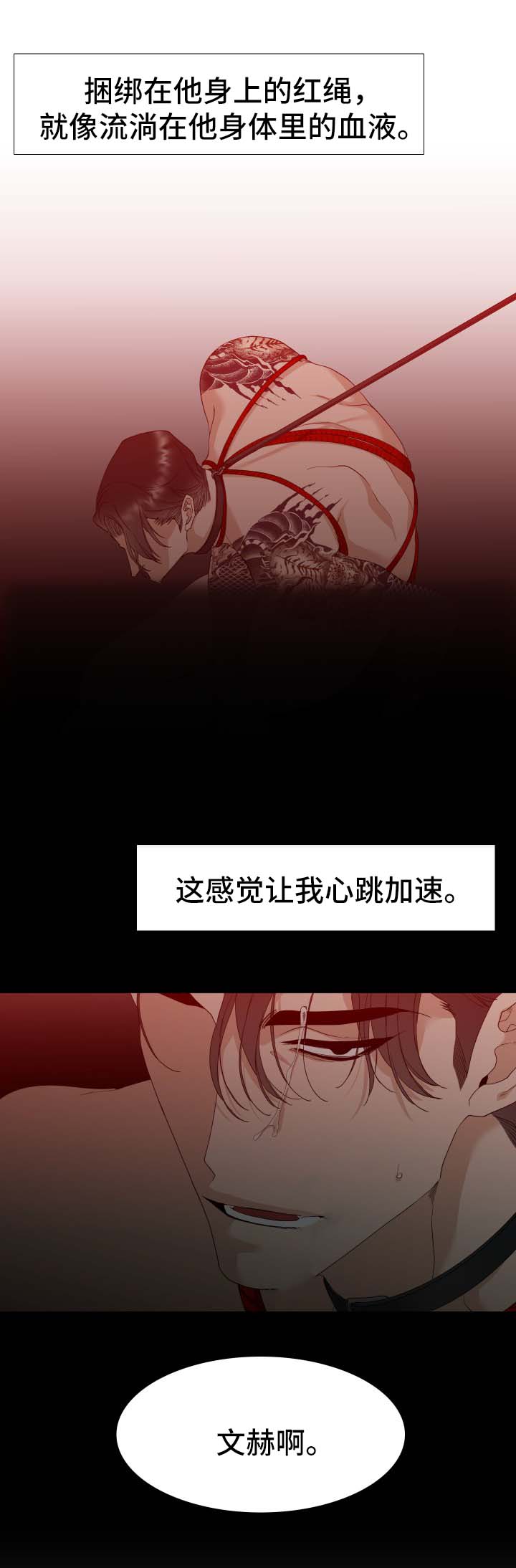 第9话：第9章：梦预览分镜