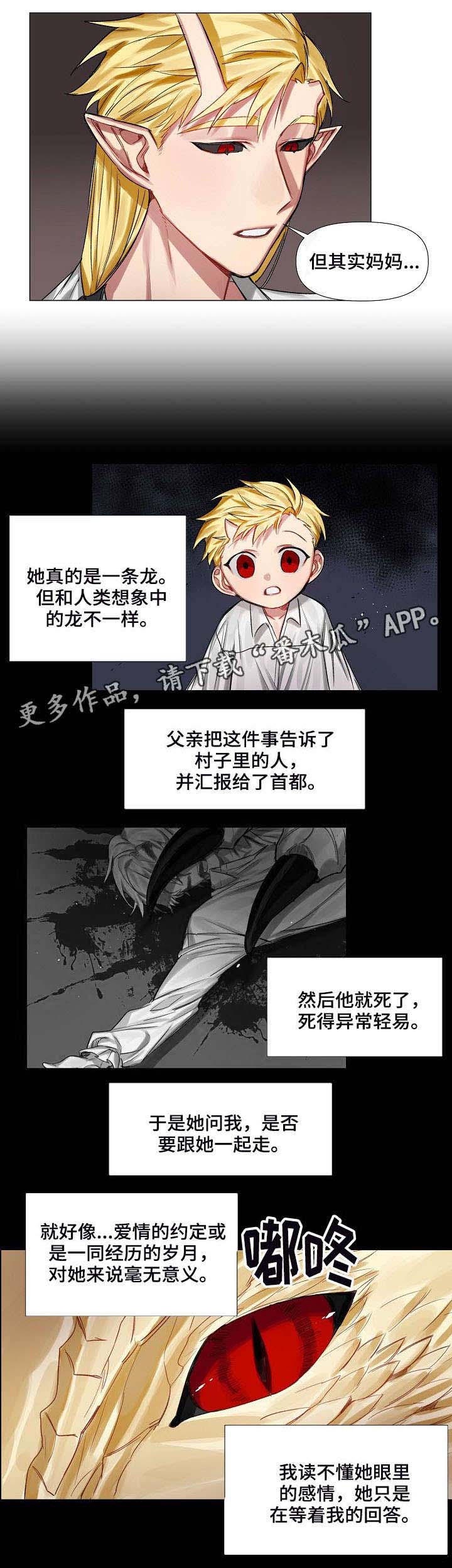 第9话：第9章：画像预览分镜