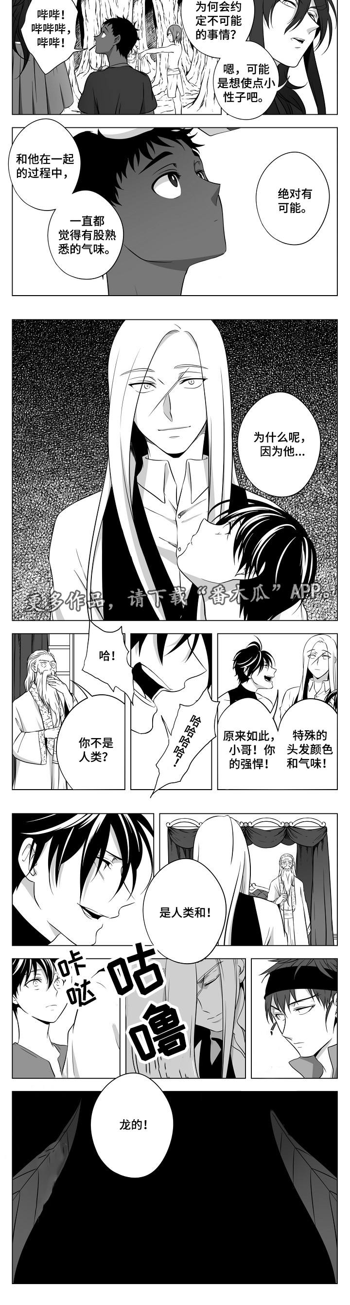 第24章:终章