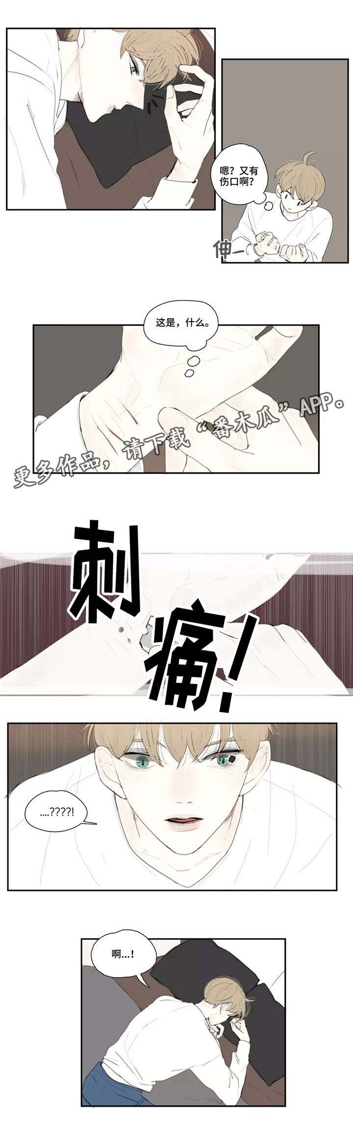 第11话：第11章：刀疤预览分镜